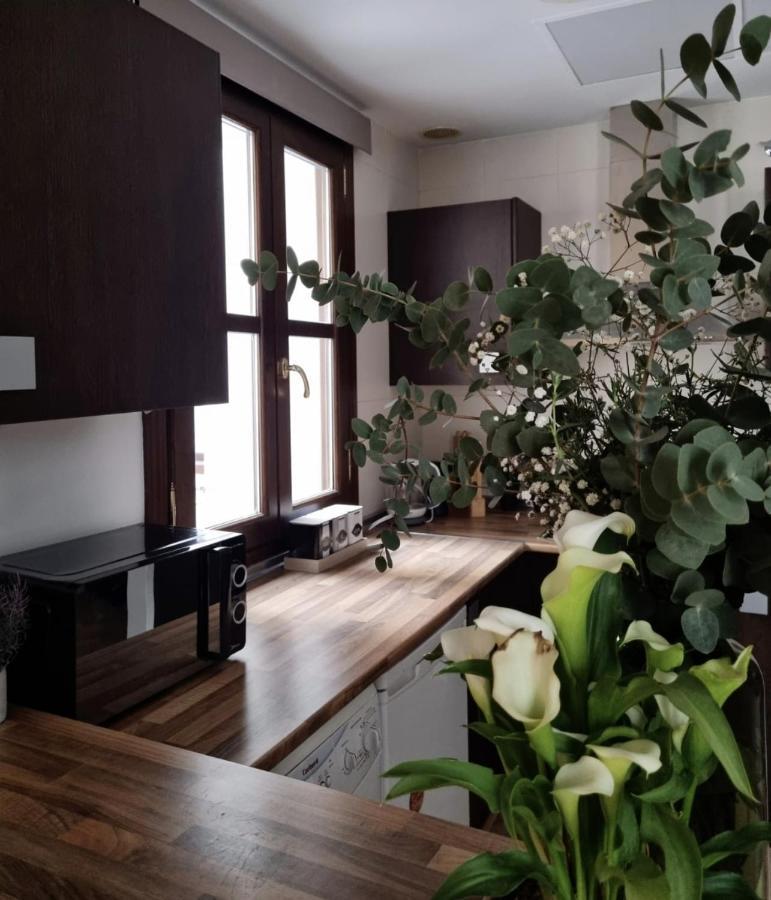 Cozy In The City Center Apartamento